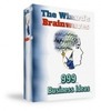 Thumbnail The Wizards Brainwaves 999 Business Ideas